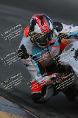 media/Mar-02-2025-Race Pace (Sun) [[8bec80ae00]]/14-Verified (Turn 10 Inside)/